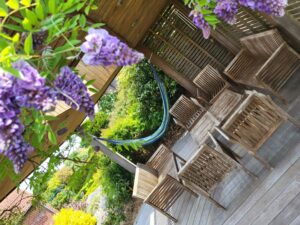 Février que faire au jardin taille : guide complet pour vos jardins !