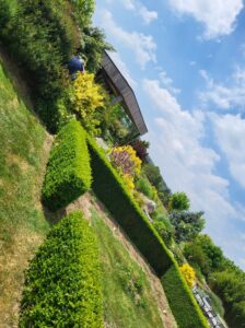 Février que faire au jardin taille : guide complet pour vos jardins !