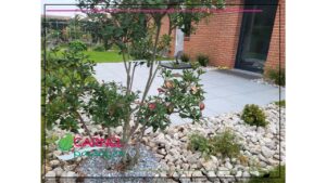 Entretien terrasse au printemps : nettoyage et protection