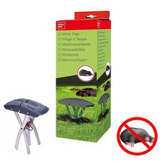 Pourquoi les taupes sont de retour en février et surtout que faire ?