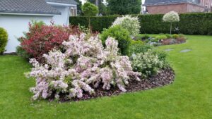 Planter maintenant pour un été flamboyant : Guide expert!