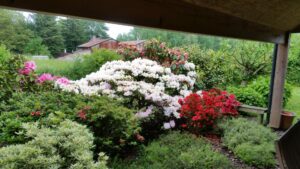 Planter maintenant pour un été flamboyant : Guide expert!