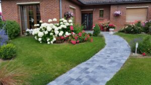 Planter maintenant pour un été flamboyant : Guide expert!