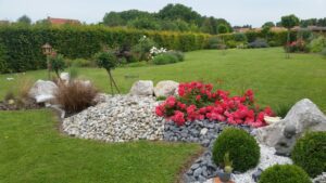 Planter maintenant pour un été flamboyant : Guide expert!