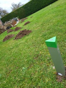 Pourquoi les taupes sont de retour en février et surtout que faire ?