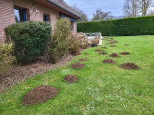 Pourquoi les taupes sont de retour en février et surtout que faire ?