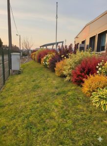 Planter maintenant pour un été flamboyant : Guide expert!