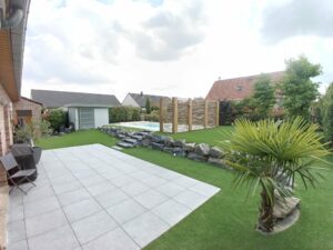 Plantation de gros arbres : le guide pour transformer votre jardin