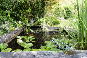 Bordure de massif : un plus pour le coup d’œil au jardin