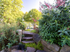 Soins et plantation des graminées : le guide complet !