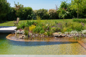 Jardins d’eau & bien être : comment créer un espace apaisant !
