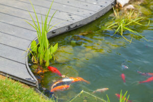 Jardins d’eau & bien être : comment créer un espace apaisant !