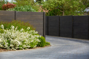 Soins et plantation des graminées : le guide complet !