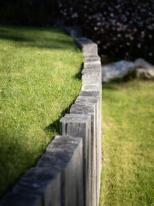 Soins et plantation des graminées : le guide complet !