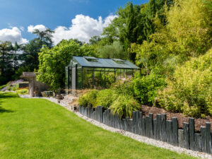 Soins et plantation des graminées : le guide complet !