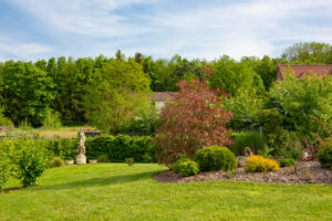 5 erreurs courantes qui empêchent votre gazon d’être vert