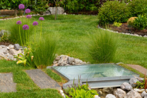 5 erreurs courantes qui empêchent votre gazon d’être vert