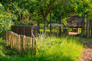 Plantation printanière : les soins à apporter pour une bonne reprise