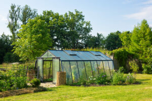 Plantation printanière : les soins à apporter pour une bonne reprise