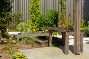 Plantation printanière : les soins à apporter pour une bonne reprise