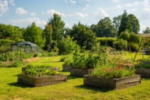 Plantation printanière : les soins à apporter pour une bonne reprise
