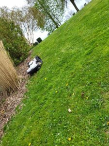 Robot de tonte du nouveau GPS, caméra : quelle technologie ?