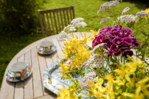 Les floraisons de printemps un vrai régal !