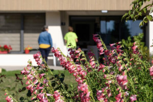 Les floraisons de printemps un vrai régal !