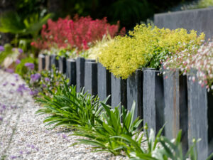 Les floraisons de printemps un vrai régal !