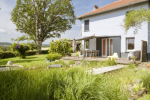 Les plantes couvre sol qui remplacent le désherbage.
