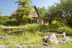 Entretien de jardin en juin : les travaux indispensables avant l'été