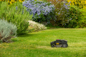 Entretien de jardin en juin : les travaux indispensables avant l'été