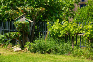 Aménager un îlot de fraîcheur contre les canicules