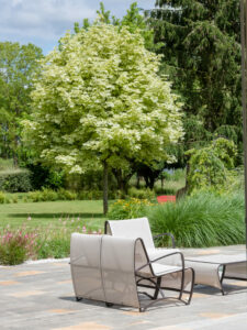 Petit jardin : 7 astuces de paysagiste pour maximiser l’espace !