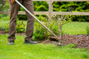 Les tailles de septembre pour un beau jardin d’hiver