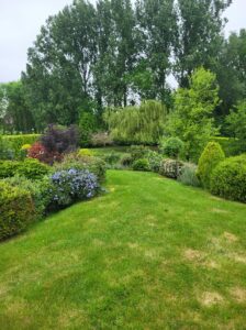 Arbres contre la chaleur : comment créer un îlot de fraîcheur