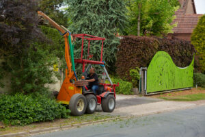 Les tailles de septembre pour un beau jardin d’hiver
