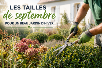 Les tailles de septembre pour un beau jardin d’hiver : les gestes essentiels
