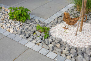 Création de jardin sec : conseils pour un extérieur économe en eau