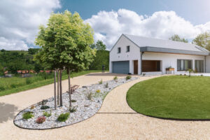 Création de jardin sec : conseils pour un extérieur économe en eau