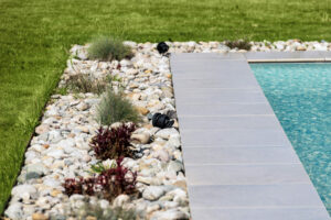 Création de jardin sec : conseils pour un extérieur économe en eau