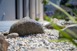 Création de jardin sec : conseils pour un extérieur économe en eau