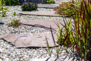 Création de jardin sec : conseils pour un extérieur économe en eau