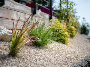Création de jardin sec : conseils pour un extérieur économe en eau