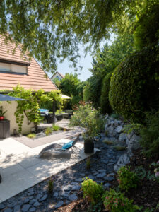 Création de jardin sec : conseils pour un extérieur économe en eau