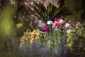 Les vivaces dans votre jardin : guide pour un massif durable