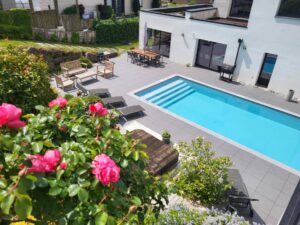 Les vivaces dans votre jardin : guide pour un massif durable