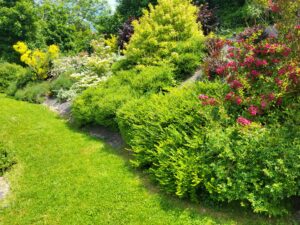 Les vivaces dans votre jardin : guide pour un massif durable