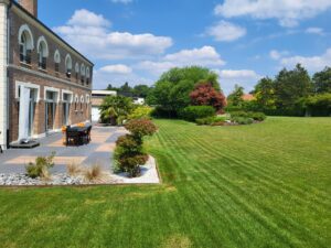 Les vivaces dans votre jardin : guide pour un massif durable
