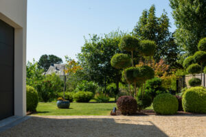 Les vivaces dans votre jardin : guide pour un massif durable